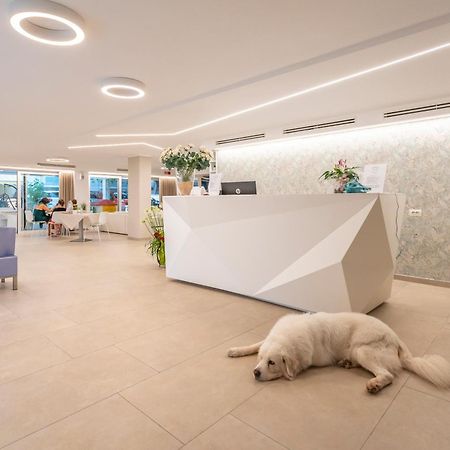 Hotel San Domingo Bellaria – Igea Marina Kültér fotó